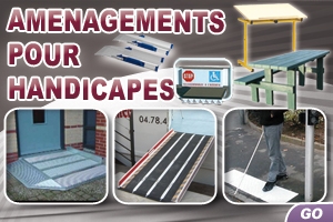 http://www.techni-contact.com/media/images/mini-boutique/handicapes.jpg