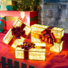 Miniature 2