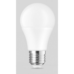 Ampoule LED 10W - Puissance : 10W    ERP D