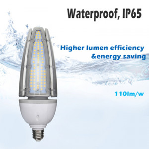 Ampoule led lampadaire - Pour lampadaire exterieur remplace ampoule sodium 150w