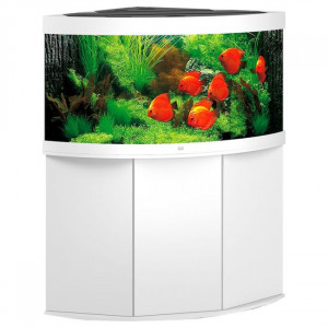 Aquarium d'angle avec meuble   - Capacité : 35O litres