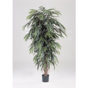 Arbre longifolia artificiel 180 cm - Hauteur : 180 cm