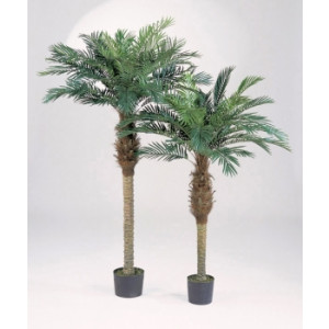 Arbre phoenix palm artificiel - Hauteur : 180 cm