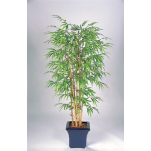 Bambou semi naturel - Hauteur : 210 cm