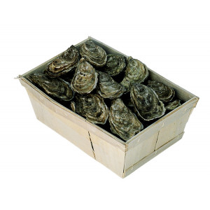 Barquette d'emballage en bois pour huître et coquillages - 8 tailles - Poids : de 1 à 5 kg minimum 1000 emballages