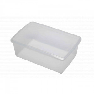 Boîte de rangement en plastique transparent - Matière : Polypropylène - Dimensions (L x l x H) :  578 x 396 x 185 mm