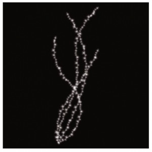 Bouquet pétillant avec lucioles LED pétillantes - Puissance : 11 W - Composition :  Lucioles LED