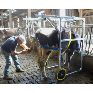 Cage de parage vache laitière - Poids : 110 kg