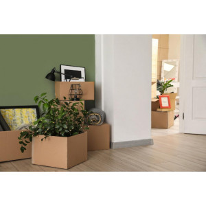 Caisse garde meuble bois - Sur-mesure ou standardisée