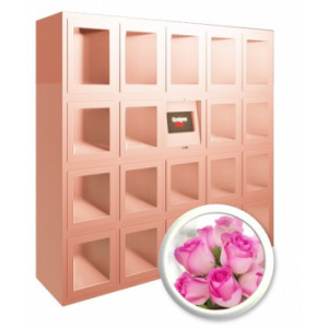 Casier de distribution automatique de fleurs - 19 ou 25 casiers de 400X400X500 mm