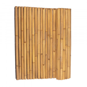 Clôture bambou naturel 40/60mm - Clôture bambou naturel 40/60mm.  Gros diamètre de bambou pour faire une brise-vue bambou impressionante.