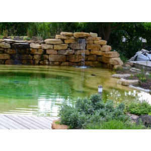 Construction piscine collective naturelle - Sans produit chimique