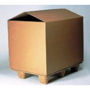 Container carton - Container