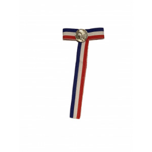 Cravate de diplôme 20 ans - Tricolore bleu, blanc et rouge