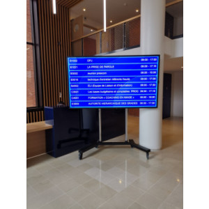 Ecran d'affichage LCD - Ecrans attrayants  -  Usage: interne, externe