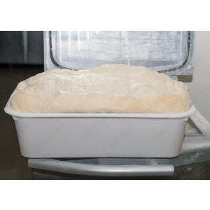 Équipement de fermentation boulangerie - Taille : dimensions standard et adaptable au modèle d’armoire de fermentation