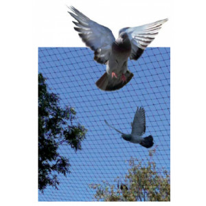 Filet de protection anti-pigeons - Maille carrée (mm) : de 25 à 70