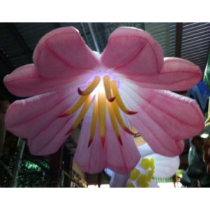Fleur gonflable géante lumineuse - Dimensions et formes sur mesure