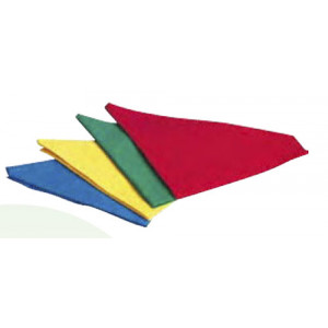 Foulard de marquage pour sport - Dimensions (L x l) cm : 82 x 57