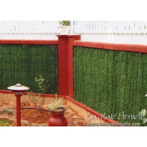 Haie écran de verdure - Habillage de clôture