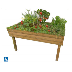 https://www.techni-contact.com/ressources/images/produits/merchandising/jardin-therapeutique-maison-de-retraite-1125162-1.jpg - Dimensions (L*l): (1,50 m x 1,00 m)
