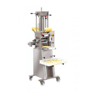 Machine ravioli - Production 80kg/h