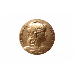 Médaille événementielle avec gravure Marianne - Médaille en bronze patiné de diamètre 57mm