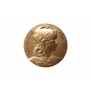 https://www.techni-contact.com/ressources/images/produits/merchandising/medaille-evenementielle-avec-gravure-marianne-63121647-1.jpg - Médaille en bronze patiné de diamètre 57mm