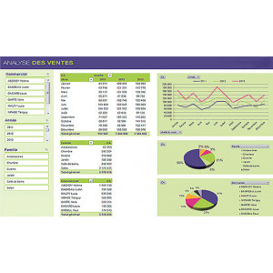 Outil de reporting Excel - Logiciel de reporting, statistiques et indicateurs (Tableau de bord)