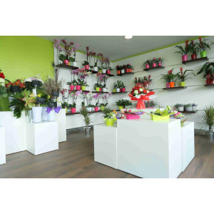 Présentoir fleuriste - Adaptable à tout type de magasin
