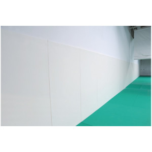 Protection murale intégrale pour dojo (lot de 12) - Dimensions : 2 x 1 m - Épaisseur : 22 mm - Lot de 12