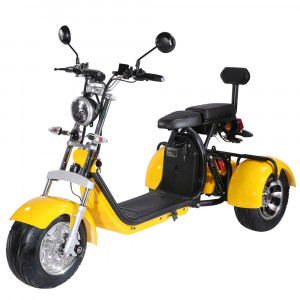 Scooter électrique 2000W - Capacité de charge : 200 kg