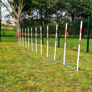 https://www.techni-contact.com/ressources/images/produits/merchandising/slalom-obstacle-pour-chien-structure-en-acier-12-piquets-en-acier-galvanise-l-700-cm-espacement-60-cm-75882333-1.jpg - Structure en acier galvanisé - 12 piquets en acier galvanisé - L. 700 cm - Espacement : 60 cm