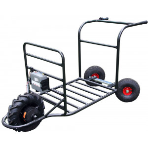 Transporteur chariot électrique - Charge utile 150 Kg - Ralentisseur frein électrique en série