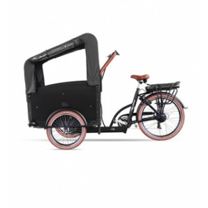 Tricycle cargo enfants - Tricycle cargo pour enfant 250W