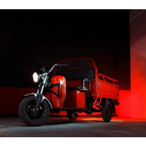 Tricycle électrique  - Vitesse maximale : 45 km/h