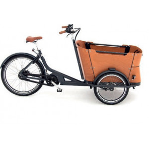  Vélo triporteur électrique - Charge bac / Charge selle : 100 kg / 100 kg
