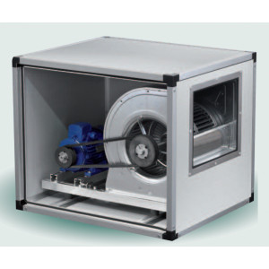 Ventilation centrifuge à entraînement par transmission - Température.-20°C +60°C  - 1 vitesse - Moteur 4 P