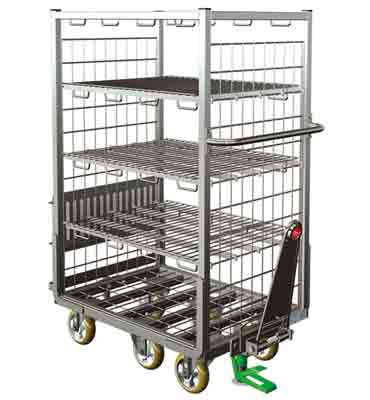 Chariot picking 500 kg - 11154993-371777149.jpg