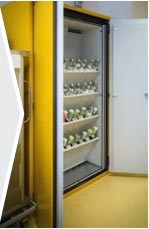 Armoire de sécurité pour bouteilles de gaz L 140 cm - 13040466-886921236.jpg