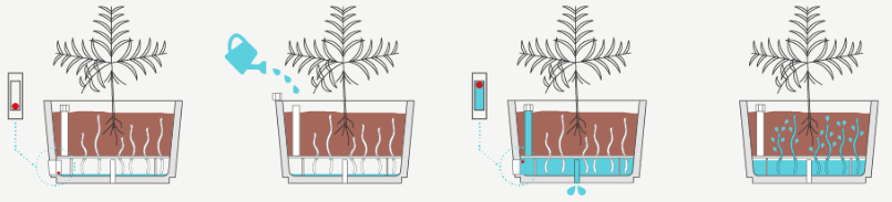 Jardinière en béton rectangulaire - 15910213-471192361.PNG