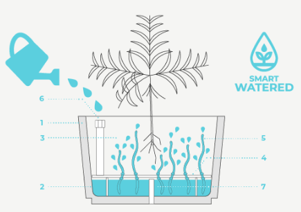 Jardinière en béton rectangulaire - 15910213-634435725.PNG