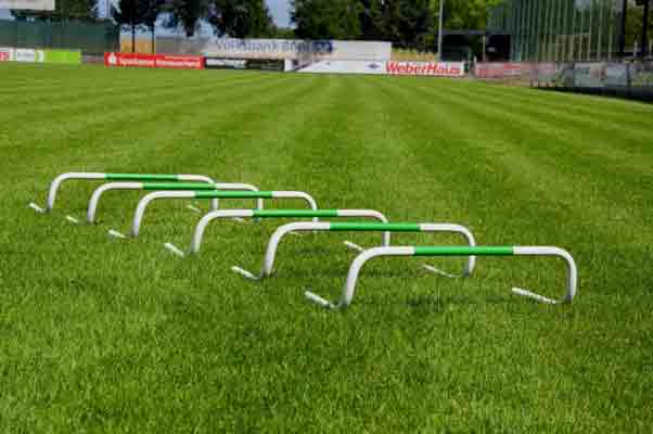  Kit de 6 haies  - 16279771-754735425.jpg