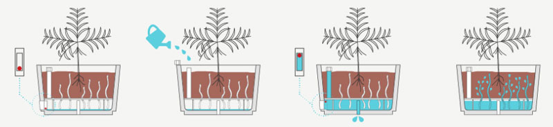 Jardinière de ville en béton - 16664167-183125971.jpg