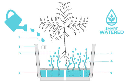 Jardinière de ville en béton - 16664167-716252399.jpg