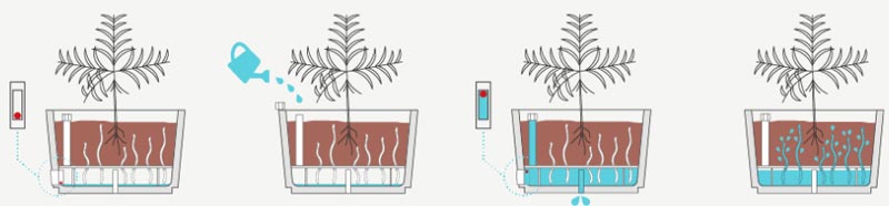 Jardinière de ville en béton - 16775768-228325681.jpg