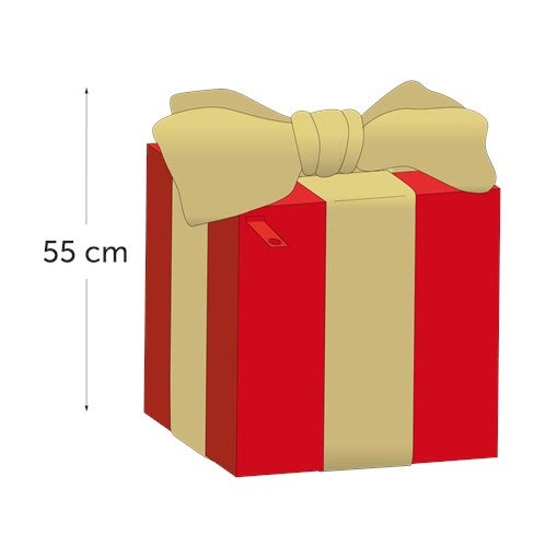 Décoration de Noël paquet cadeau - 17716476-662282747.jpg