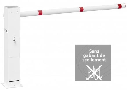 Sur platine Ø 165 mm à cheviller<br>Gabarit de scellement non fourni (sur demande)	