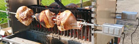 Moteur Tournebroche TM90 jusqu'à 90 Kg 33375221-867475715.jpg