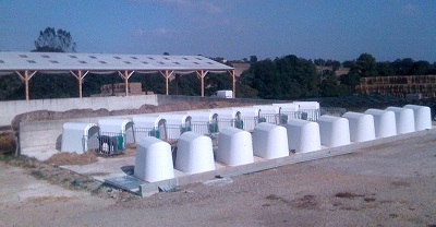 Niche à veaux Calfotel individuelle   - 33776435-347918418.jpg